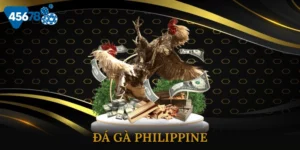 Đá Gà Philippine - Khám Phá Nghệ Thuật Cá Cược Đỉnh Cao